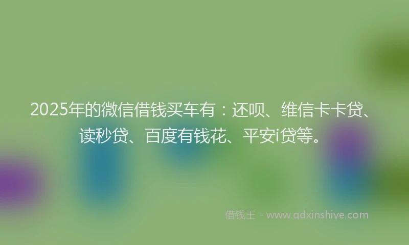 2025年的微信借钱买车有：还呗、维信卡卡贷、读秒贷、百度有钱花、平安i贷等。
