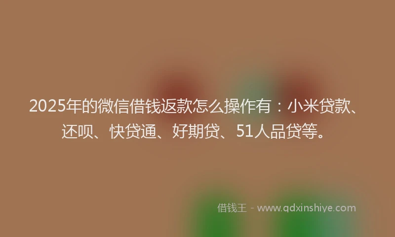 2025年的微信借钱返款怎么操作有：小米贷款、还呗、快贷通、好期贷、51人品贷等。