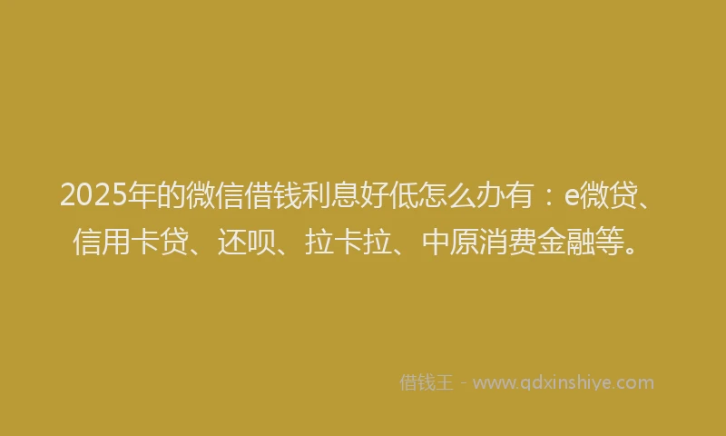2025年的微信借钱利息好低怎么办有：e微贷、信用卡贷、还呗、拉卡拉、中原消费金融等。