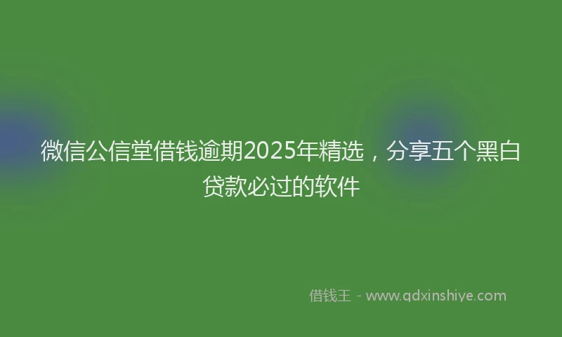 微信公信堂借钱逾期2025年精选,分享五个黑白贷款必过的软件