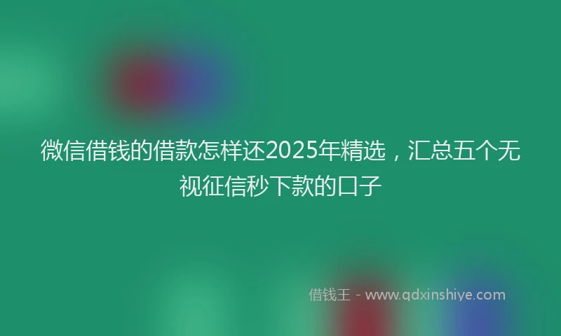 微信借钱的借款怎样还2025年精选，汇总五个无视征信秒下款的口子