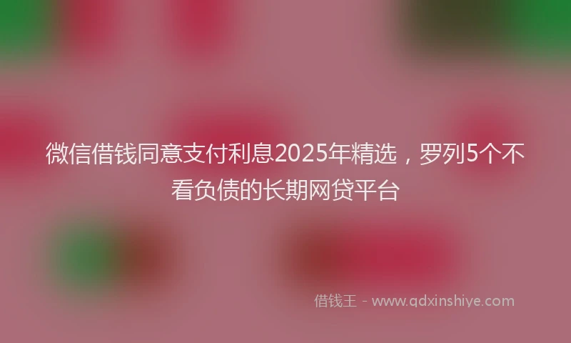 微信借钱同意支付利息2025年精选，罗列5个不看负债的长期网贷平台