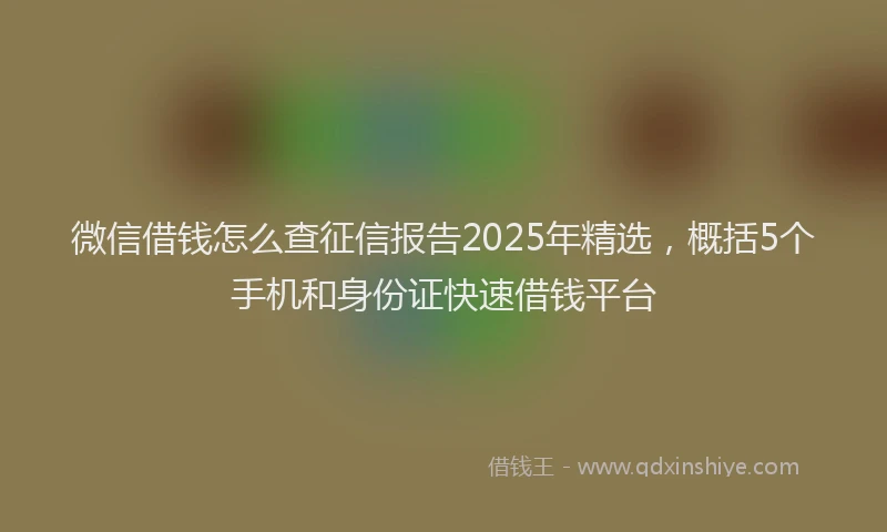 微信借钱怎么查征信报告2025年精选，概括5个手机和身份证快速借钱平台