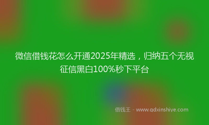 微信借钱花怎么开通2025年精选，归纳五个无视征信黑白100%秒下平台