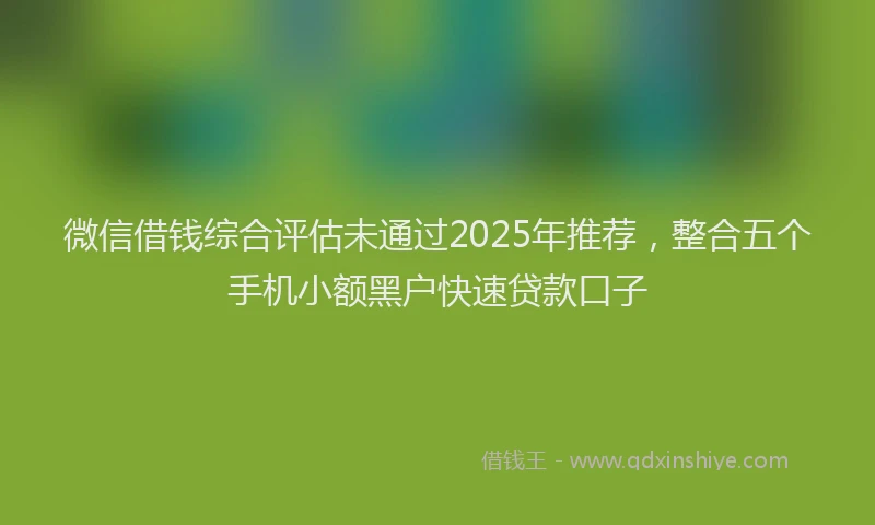 微信借钱综合评估未通过2025年推荐，整合五个手机小额黑户快速贷款口子