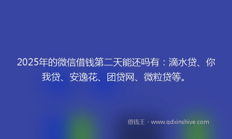 2025年的微信借钱第二天能还吗有：滴水贷、你我贷、安逸花、团贷网、微粒贷等。