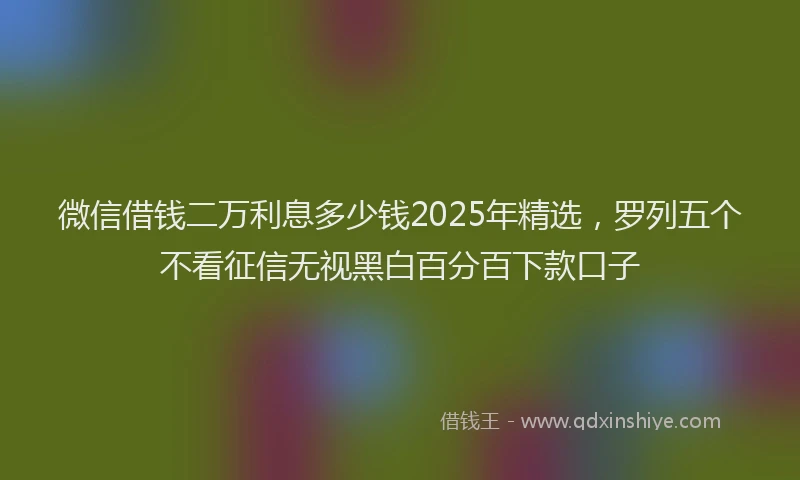 微信借钱二万利息多少钱2025年精选，罗列五个不看征信无视黑白百分百下款口子