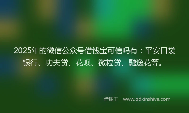 2025年的微信公众号借钱宝可信吗有：平安口袋银行、功夫贷、花呗、微粒贷、融逸花等。