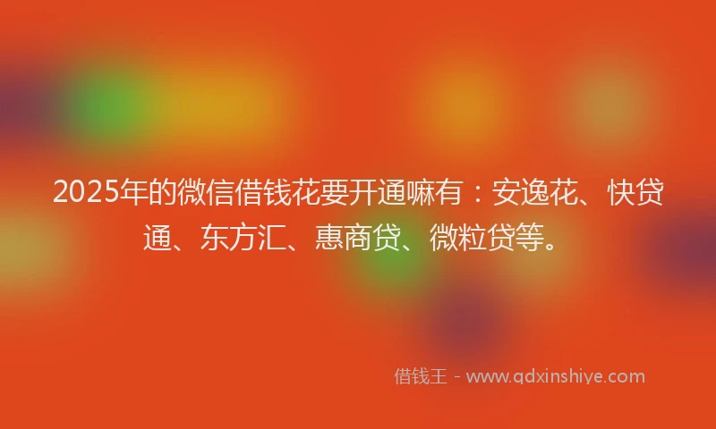 2025年的微信借钱花要开通嘛有：安逸花、快贷通、东方汇、惠商贷、微粒贷等。