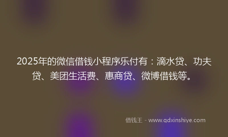 2025年的微信借钱小程序乐付有：滴水贷、功夫贷、美团生活费、惠商贷、微博借钱等。