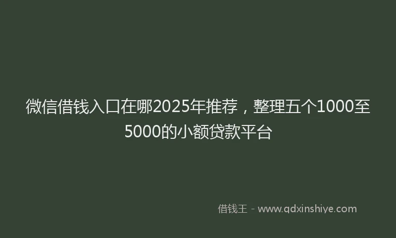微信借钱入口在哪2025年推荐，整理五个1000至5000的小额贷款平台