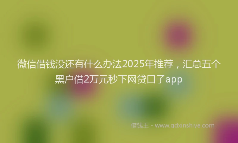 微信借钱没还有什么办法2025年推荐，汇总五个黑户借2万元秒下网贷口子app