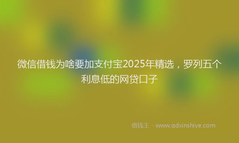 微信借钱为啥要加支付宝2025年精选，罗列五个利息低的网贷口子