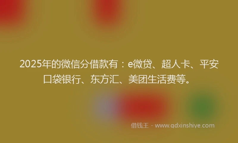2025年的微信分借款有：e微贷、超人卡、平安口袋银行、东方汇、美团生活费等。