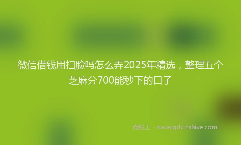 微信借钱用扫脸吗怎么弄2025年精选，整理五个芝麻分700能秒下的口子
