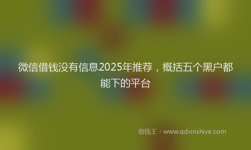 微信借钱没有信息2025年推荐，概括五个黑户都能下的平台