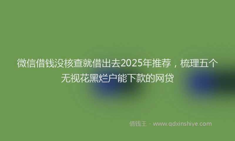微信借钱没核查就借出去2025年推荐，梳理五个无视花黑烂户能下款的网贷