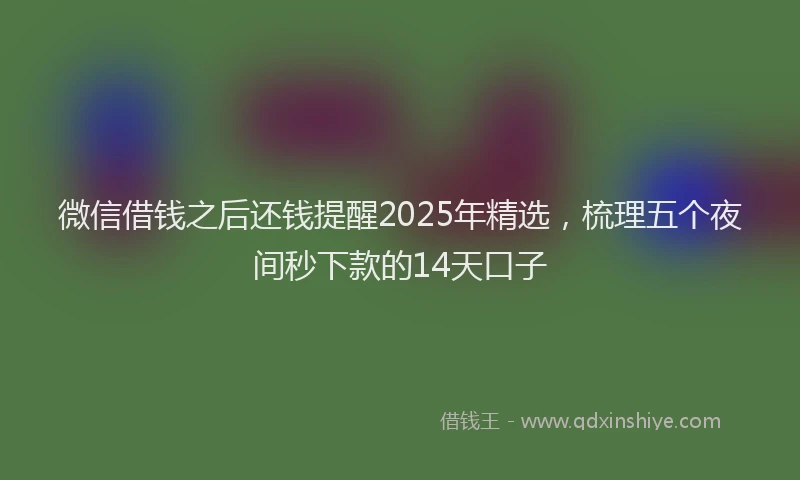 微信借钱之后还钱提醒2025年精选，梳理五个夜间秒下款的14天口子