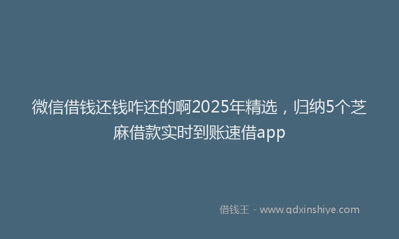 微信借钱还钱咋还的啊2025年精选，归纳5个芝麻借款实时到账速借app