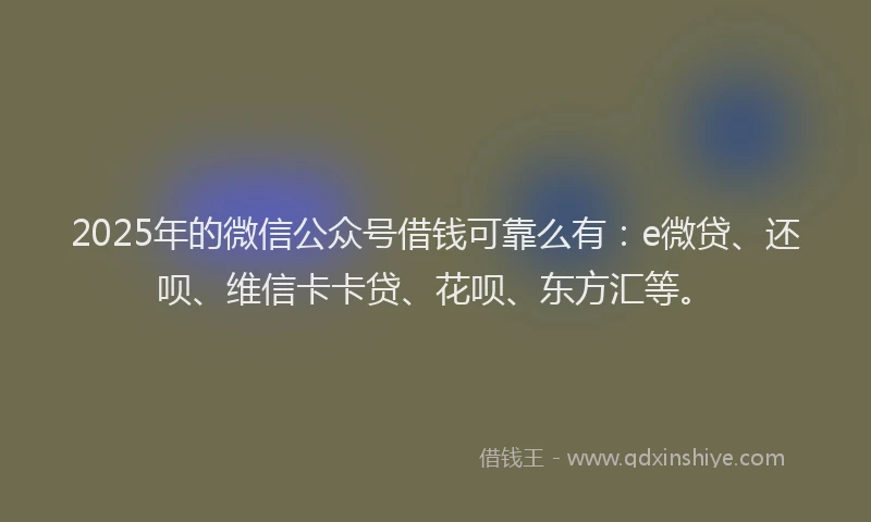 2025年的微信公众号借钱可靠么有：e微贷、还呗、维信卡卡贷、花呗、东方汇等。