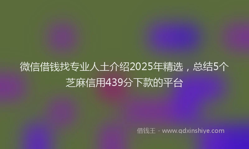微信借钱找专业人土介绍2025年精选，总结5个芝麻信用439分下款的平台