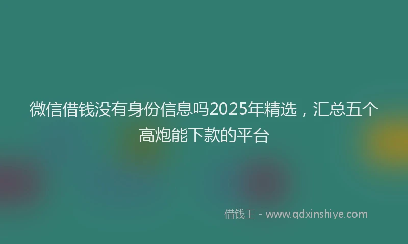 微信借钱没有身份信息吗2025年精选，汇总五个高炮能下款的平台