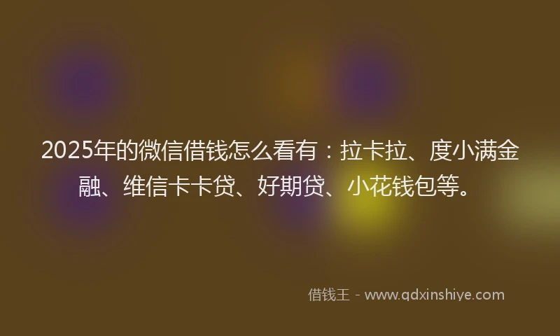2025年的微信借钱怎么看有：拉卡拉、度小满金融、维信卡卡贷、好期贷、小花钱包等。