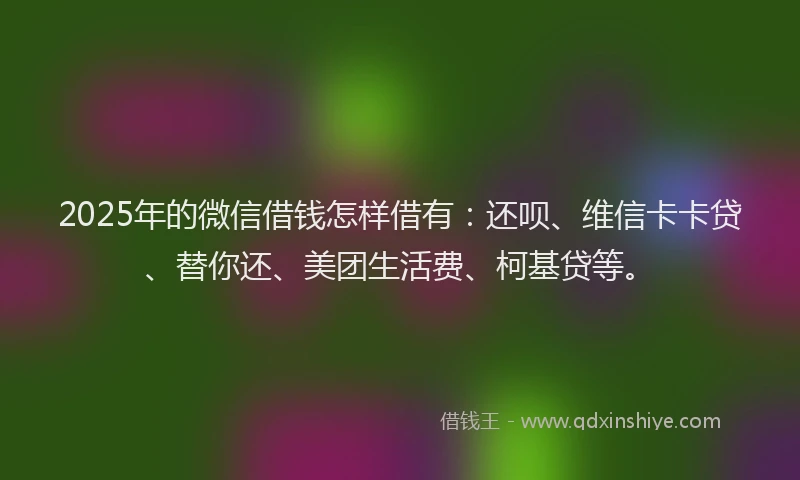 2025年的微信借钱怎样借有：还呗、维信卡卡贷、替你还、美团生活费、柯基贷等。