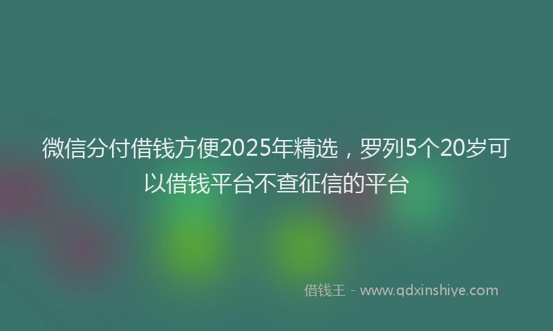 微信分付借钱方便2025年精选，罗列5个20岁可以借钱平台不查征信的平台