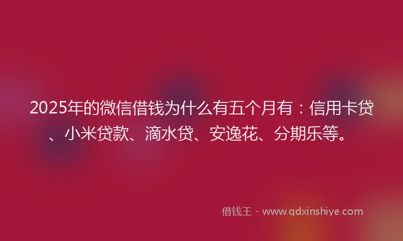 2025年的微信借钱为什么有五个月有：信用卡贷、小米贷款、滴水贷、安逸花、分期乐等。