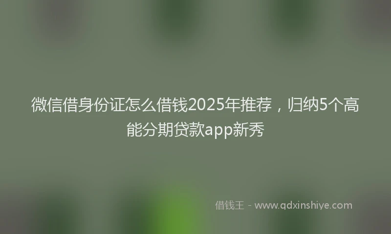 微信借身份证怎么借钱2025年推荐，归纳5个高能分期贷款app新秀
