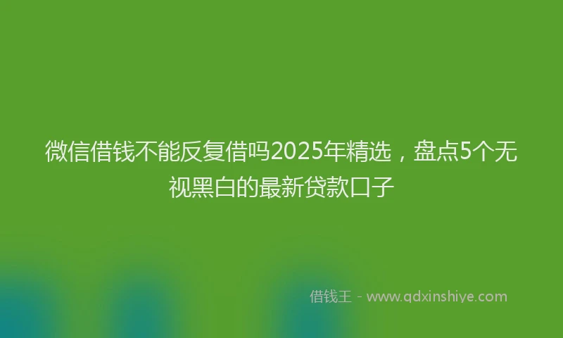 微信借钱不能反复借吗2025年精选，盘点5个无视黑白的最新贷款口子