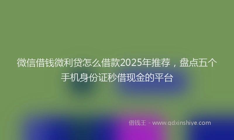 微信借钱微利贷怎么借款2025年推荐，盘点五个手机身份证秒借现金的平台