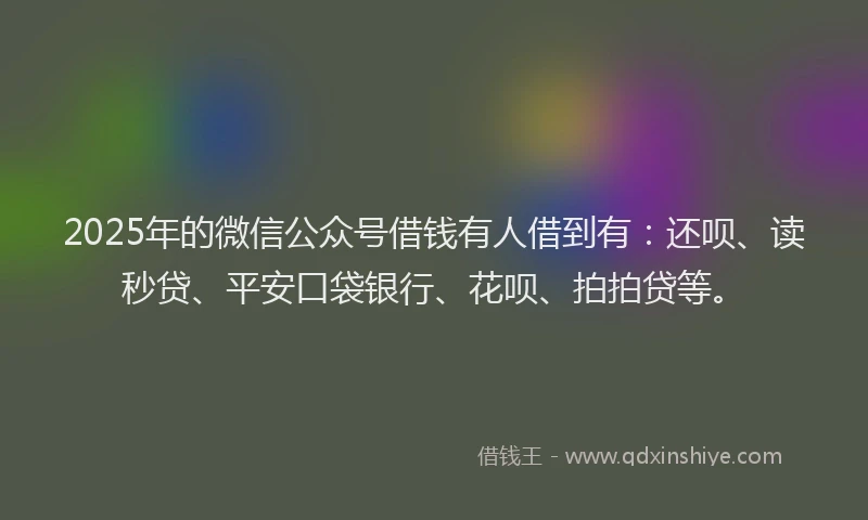 2025年的微信公众号借钱有人借到有：还呗、读秒贷、平安口袋银行、花呗、拍拍贷等。