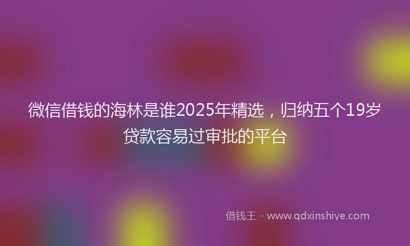 微信借钱的海林是谁2025年精选，归纳五个19岁贷款容易过审批的平台