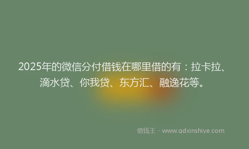 2025年的微信分付借钱在哪里借的有：拉卡拉、滴水贷、你我贷、东方汇、融逸花等。