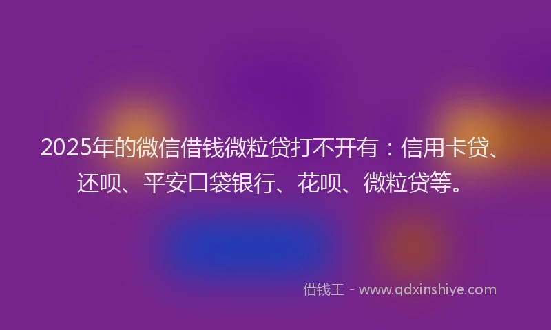 2025年的微信借钱微粒贷打不开有：信用卡贷、还呗、平安口袋银行、花呗、微粒贷等。