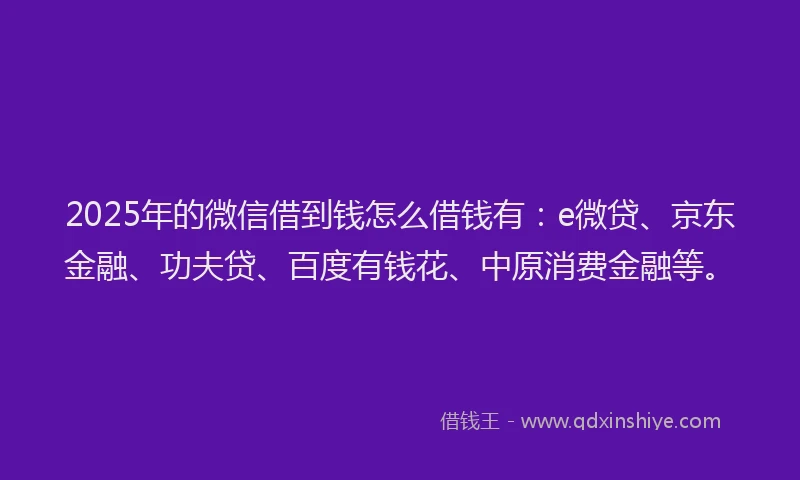 2025年的微信借到钱怎么借钱有：e微贷、京东金融、功夫贷、百度有钱花、中原消费金融等。