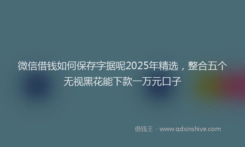 微信借钱如何保存字据呢2025年精选，整合五个无视黑花能下款一万元口子