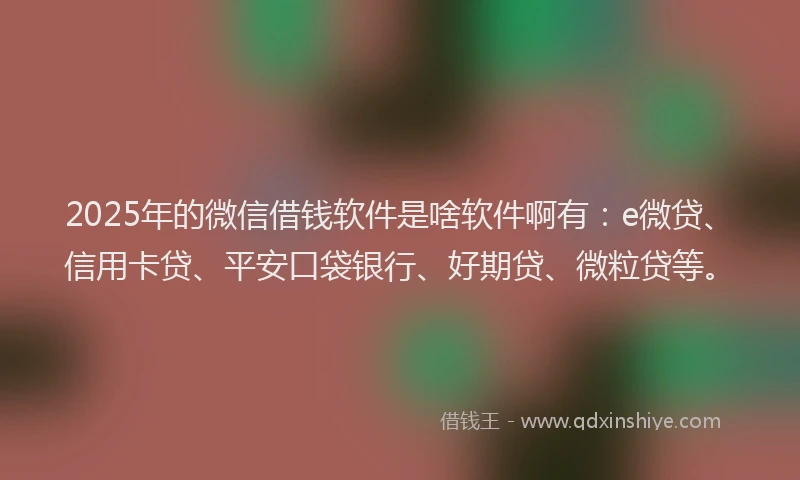2025年的微信借钱软件是啥软件啊有：e微贷、信用卡贷、平安口袋银行、好期贷、微粒贷等。