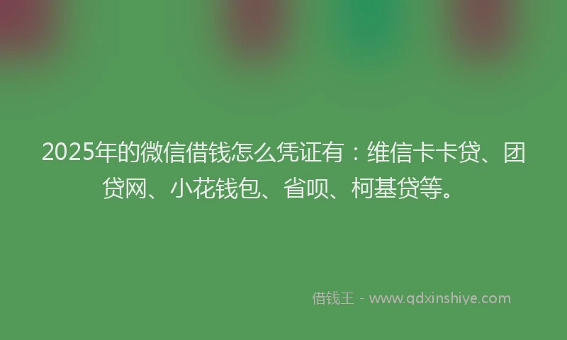 2025年的微信借钱怎么凭证有：维信卡卡贷、团贷网、小花钱包、省呗、柯基贷等。