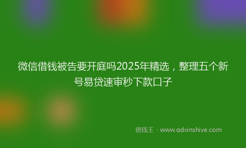 微信借钱被告要开庭吗2025年精选，整理五个新号易贷速审秒下款口子