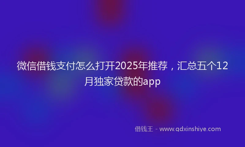 微信借钱支付怎么打开2025年推荐，汇总五个12月独家贷款的app