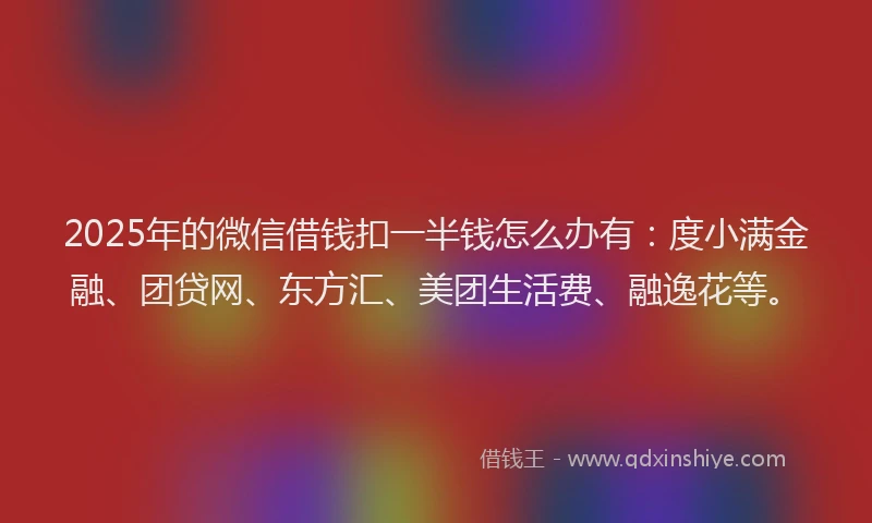 2025年的微信借钱扣一半钱怎么办有：度小满金融、团贷网、东方汇、美团生活费、融逸花等。