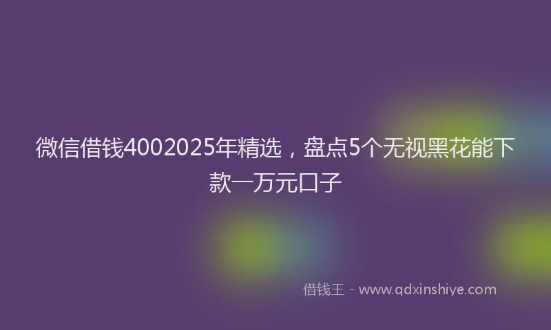 微信借钱4002025年精选，盘点5个无视黑花能下款一万元口子
