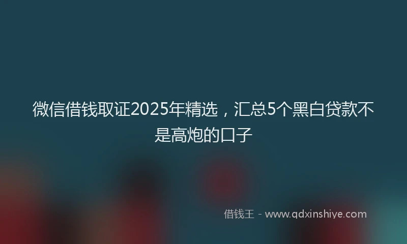 微信借钱取证2025年精选，汇总5个黑白贷款不是高炮的口子