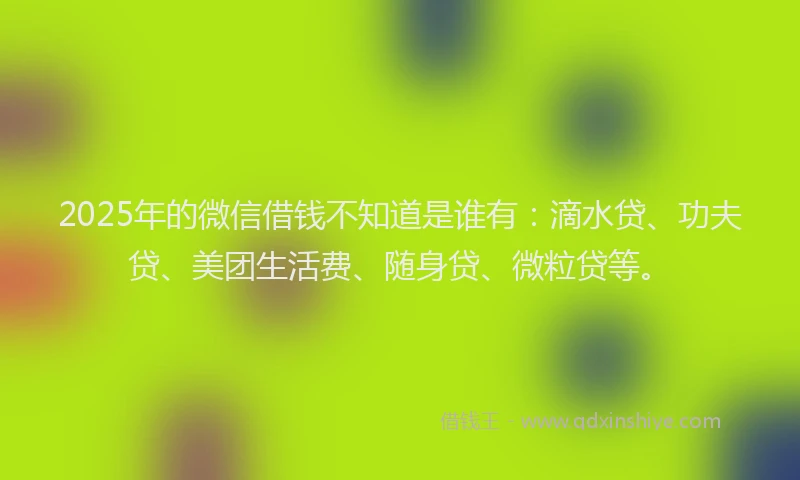 2025年的微信借钱不知道是谁有：滴水贷、功夫贷、美团生活费、随身贷、微粒贷等。
