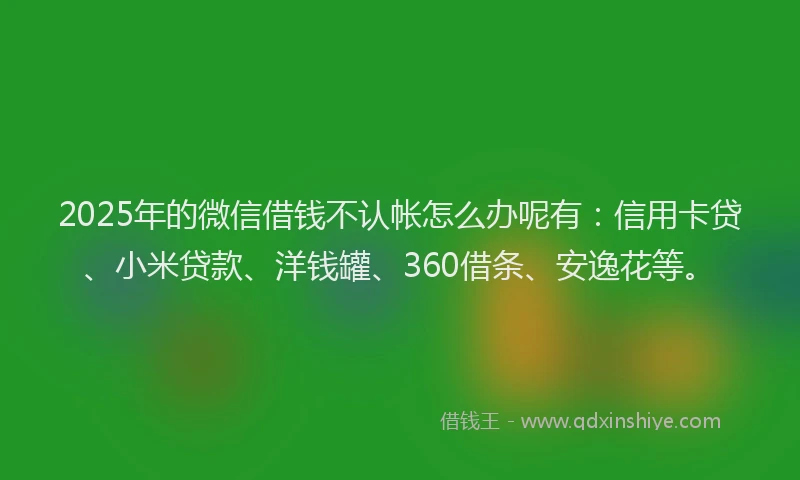 2025年的微信借钱不认帐怎么办呢有：信用卡贷、小米贷款、洋钱罐、360借条、安逸花等。