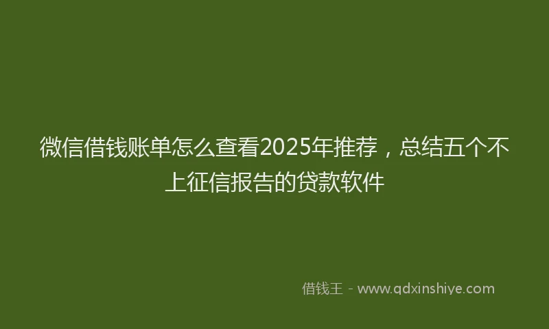微信借钱账单怎么查看2025年推荐，总结五个不上征信报告的贷款软件