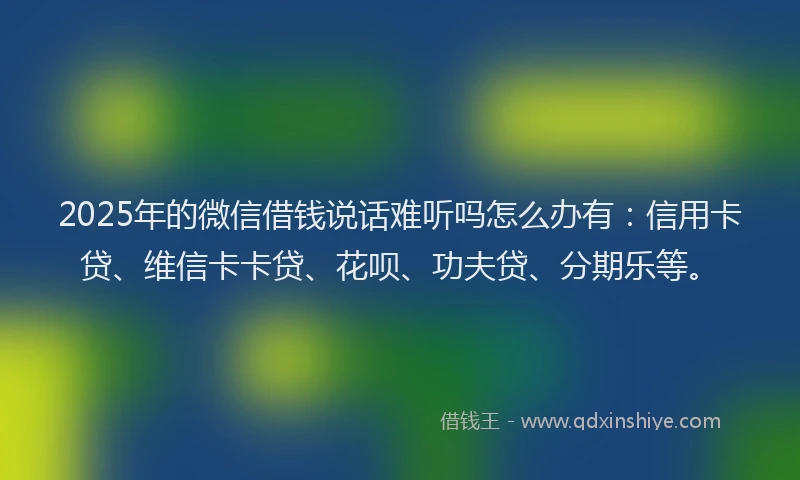 2025年的微信借钱说话难听吗怎么办有：信用卡贷、维信卡卡贷、花呗、功夫贷、分期乐等。